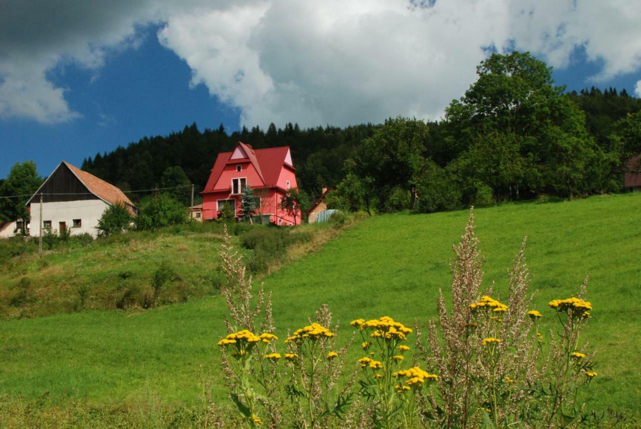 Malinowy Domek Mlynczyska Exterior photo